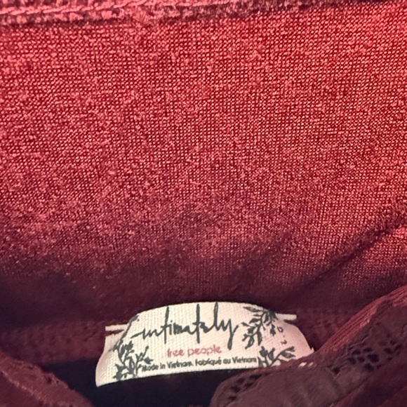 Free People Rich Red Velvet Dress - Picture 2 of 3